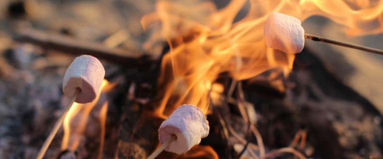 Stop Asking Campfire Questions During Your Interviews